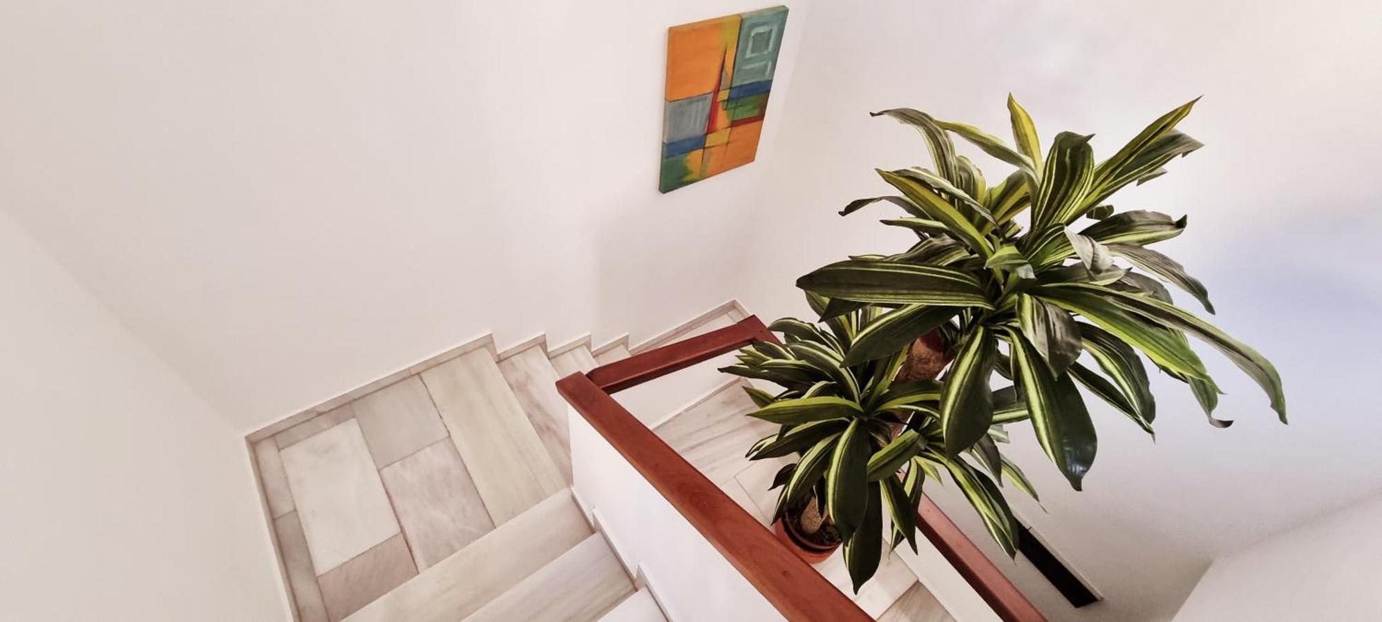 Vivienda Con Fines Turisticos 